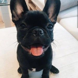 Meet your Posher, Beverly